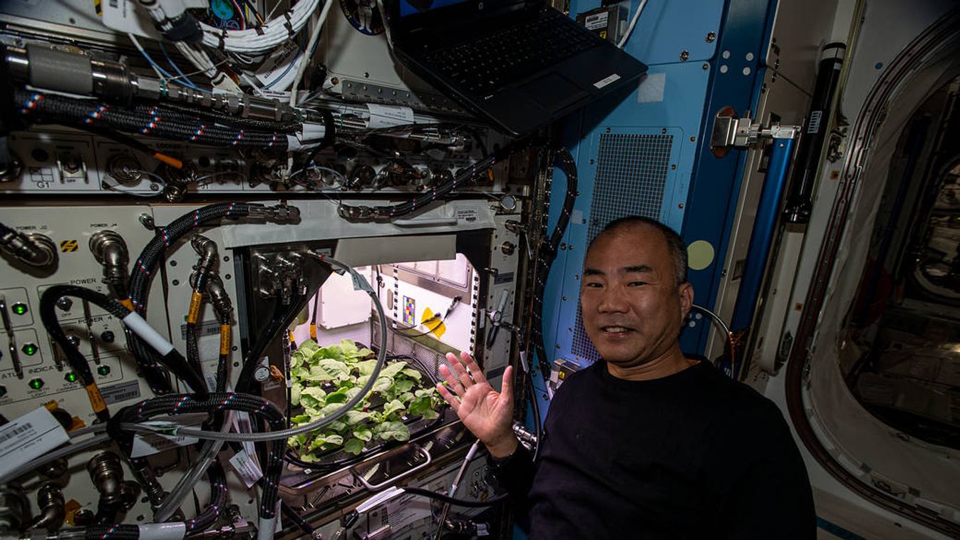 Azt mondja a japán űrhajós, hogy a SpaceX a legjobb