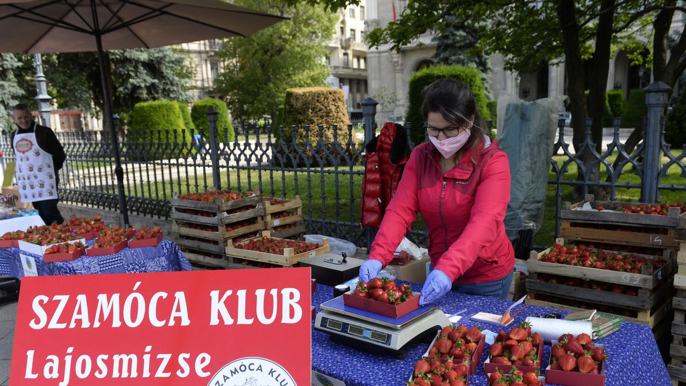 A friss és ízletes magyar földieper a legjobb választás