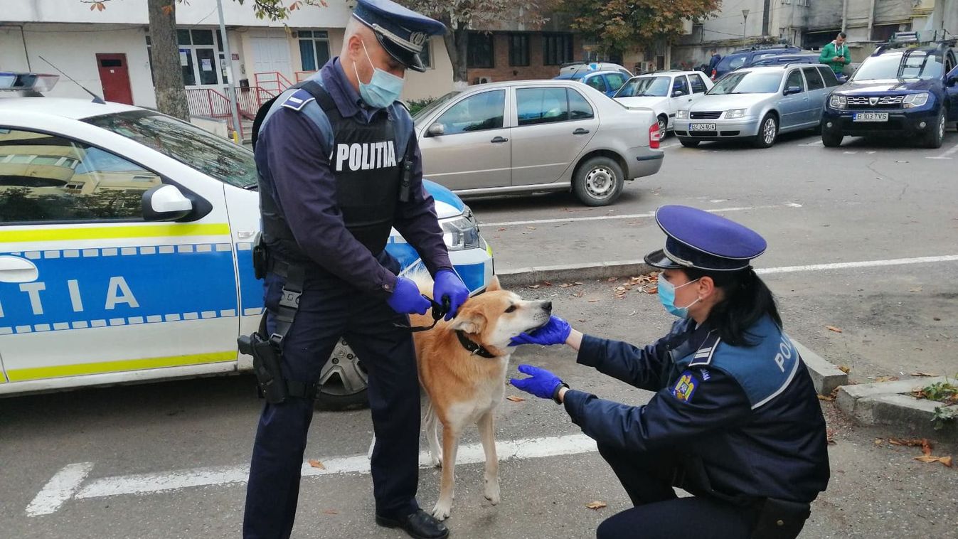 Kihirdette az államfő az állatkínzásért járó büntetéseket súlyosbító törvényt