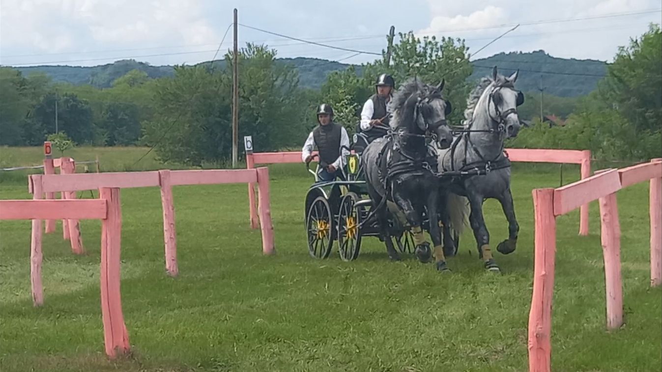 Megkezdődött a fogathajtó idény