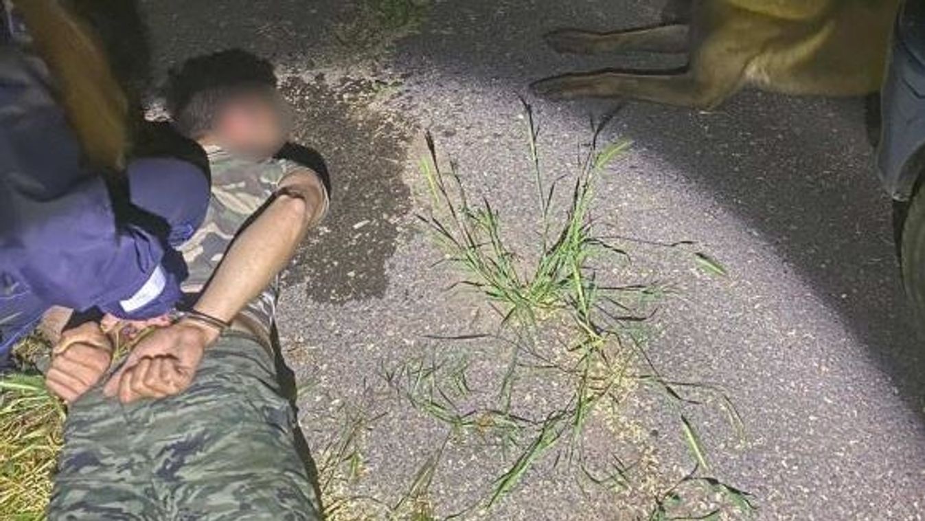 Hamupipőkének képzelte magát az áruházi rabló, de ráfázott