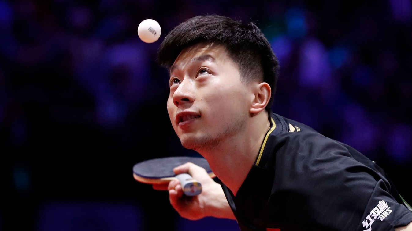 Bombaerős mezőnnyel rajtol a WTT Star Contender-verseny Budapesten