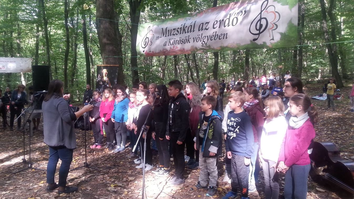 Ismét muzsikálni fog a betfiai erdő