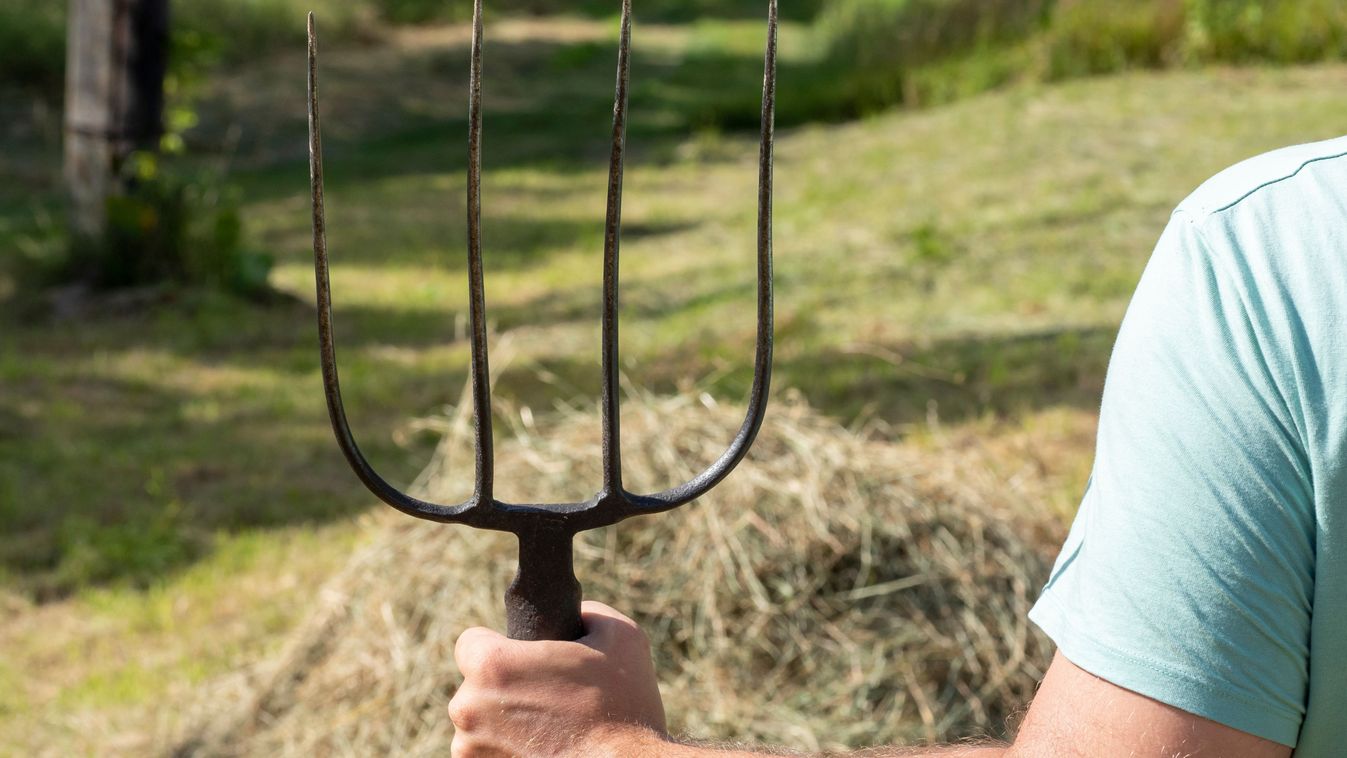 Vasvillával támadtak egy édesapára Tiszalökön – a gyerekei az egészet végignézték