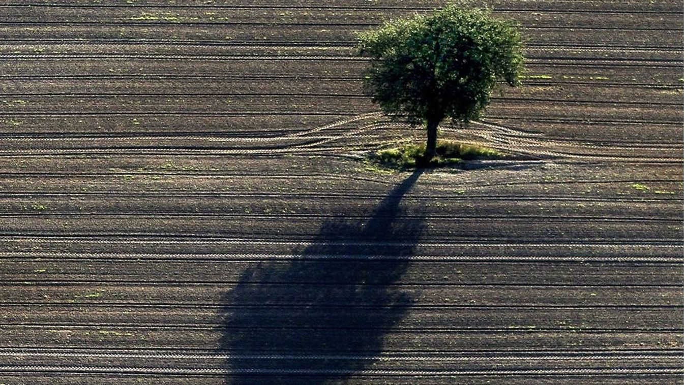 Lengyel fotóművészek kiállítása a várban