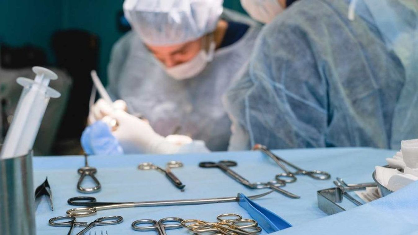 Megműtötték a vasárnapi medvetámadás egyik áldozatát