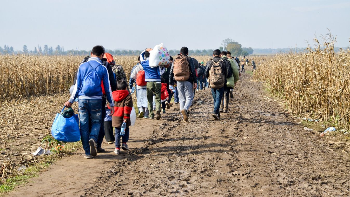 Nem segít a migráció Németország gazdaságán