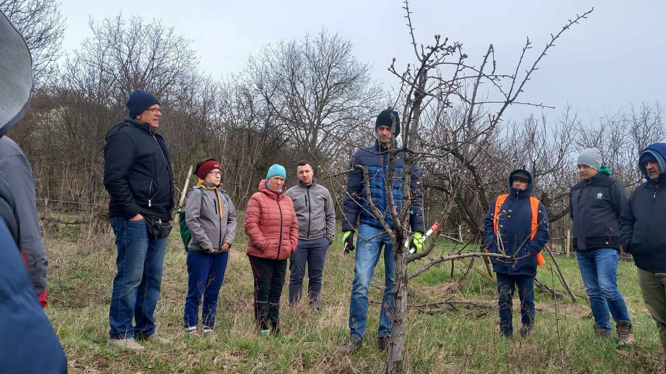 Metszésbemutatót tartottak Péter bácsi kertjében