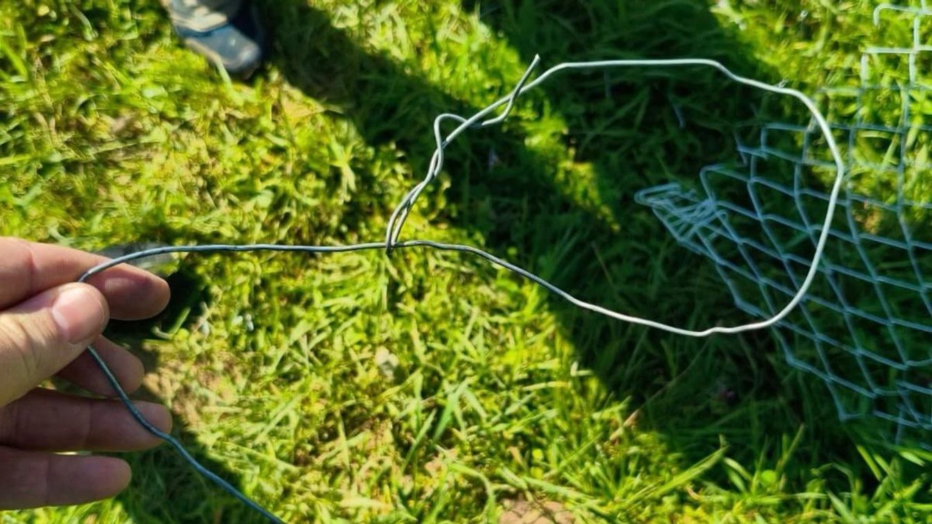 Állatkínzót vett őrizetbe a rendőrség