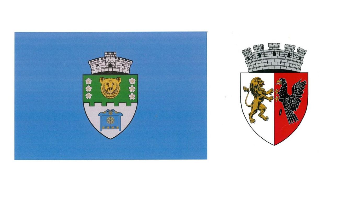 Hivatalossá nyilvánították Nagyszalonta címerét