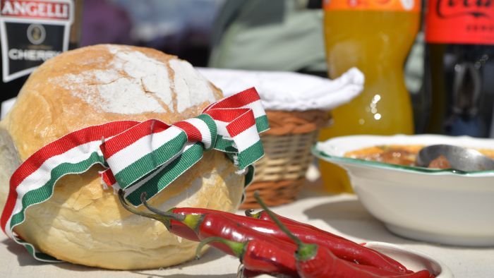 A nagy fogás- horgászverseny és családi nap