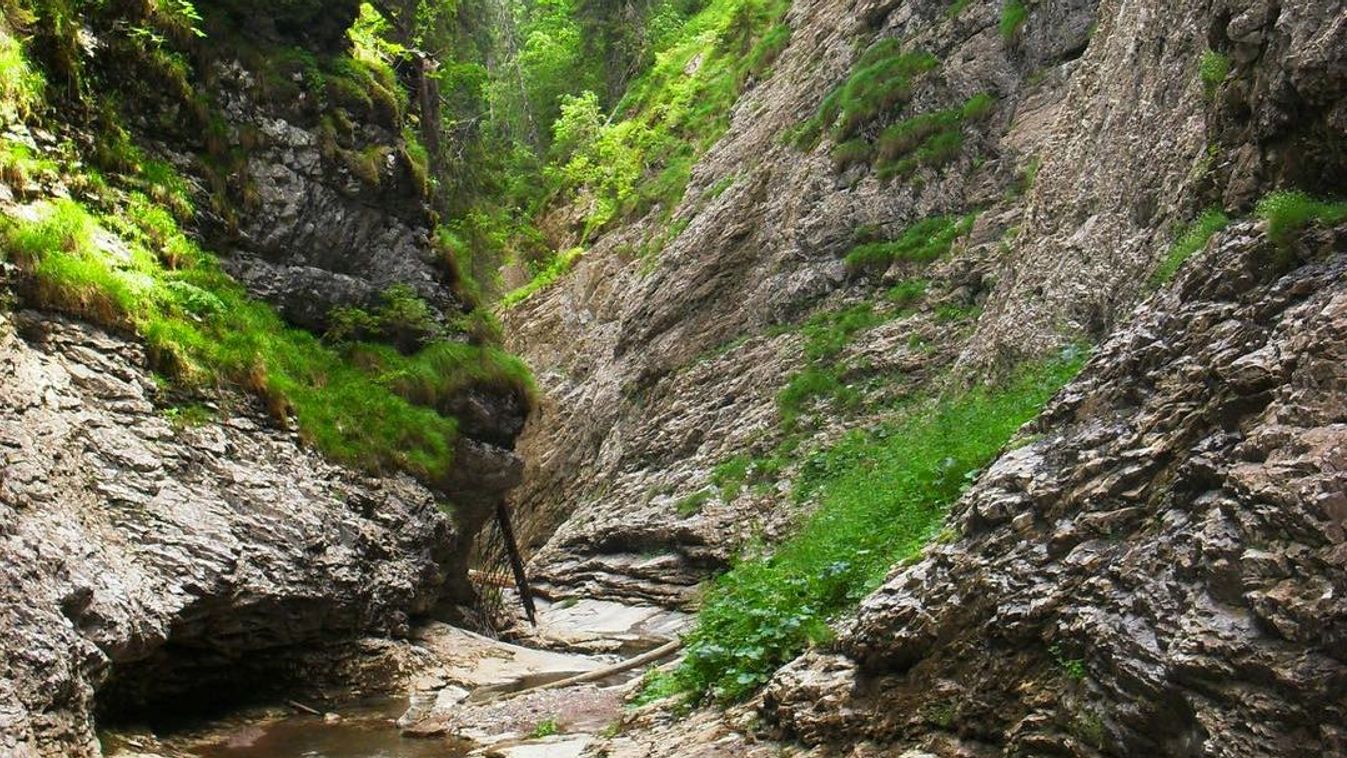 FRISSÍTVE | Megtalálták a Szamos-bazárban rekedt turistát